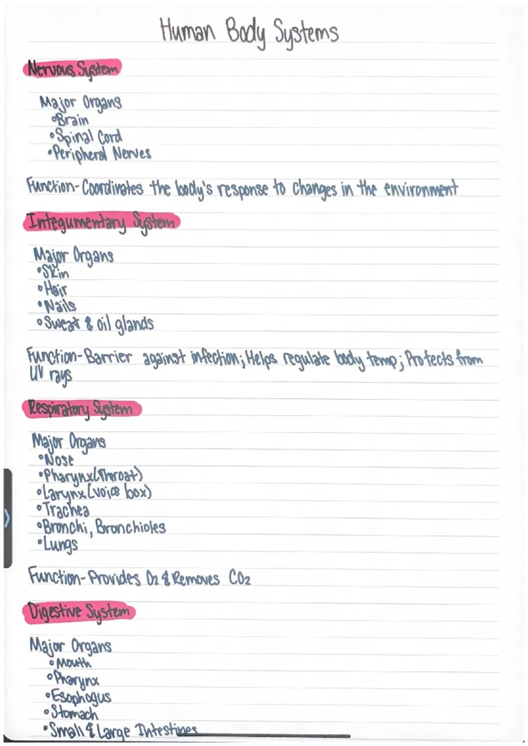 Human Body Systems Overview