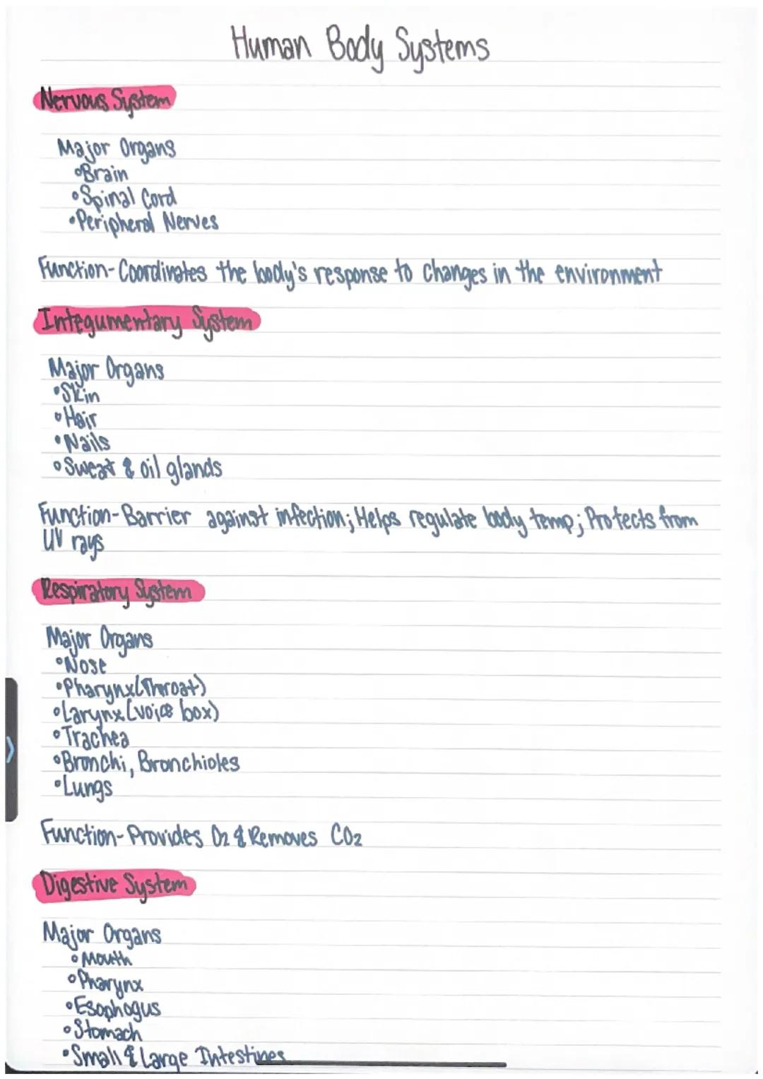 Nervous System
Major Organs
Brain
Spinal Cord
•Peripheral Nerves
Function-Coordinates the body's response to changes in the environment
Inte