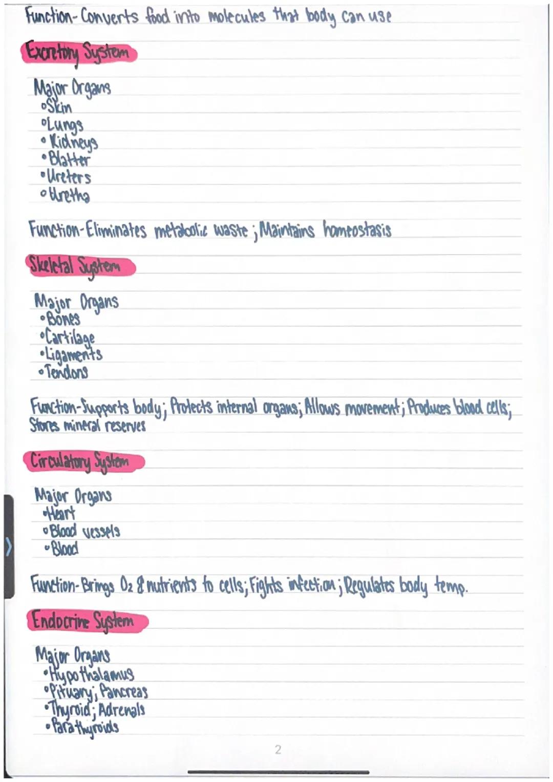 Nervous System
Major Organs
Brain
Spinal Cord
•Peripheral Nerves
Function-Coordinates the body's response to changes in the environment
Inte