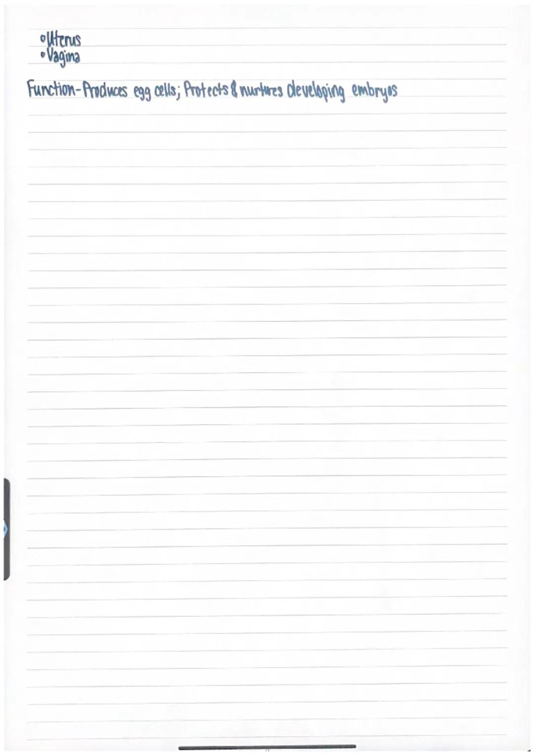 Nervous System
Major Organs
Brain
Spinal Cord
•Peripheral Nerves
Function-Coordinates the body's response to changes in the environment
Inte