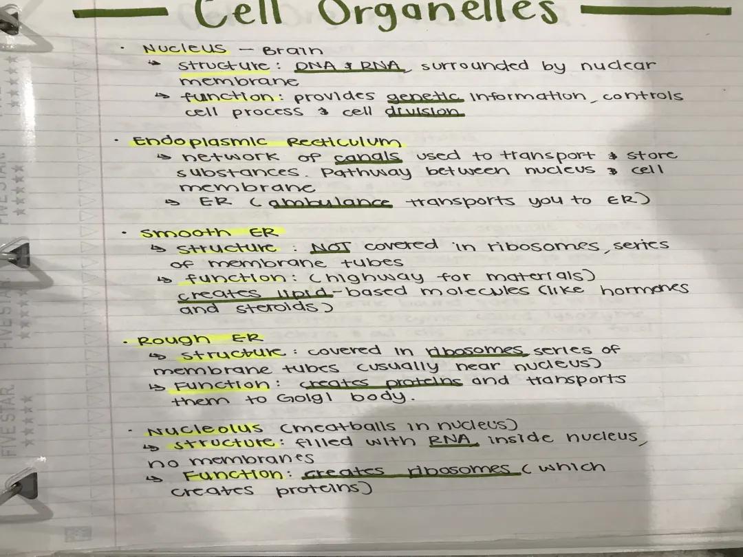 Cell Organelles