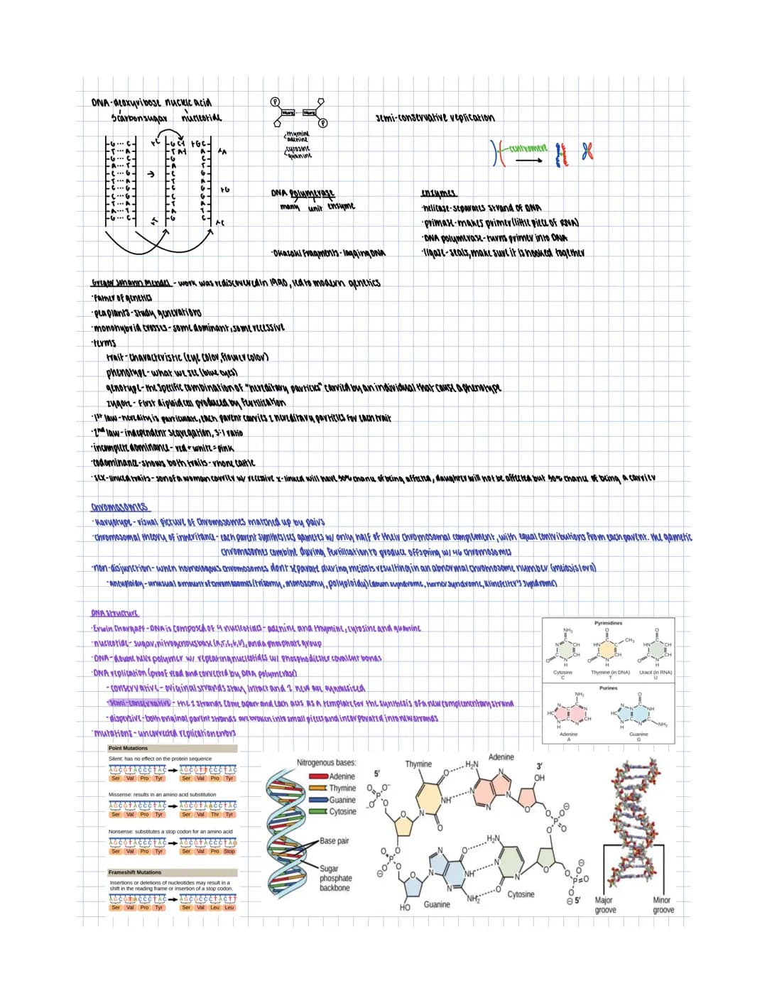 
<h2 id="termsanddefinitions">Terms and Definitions</h2>
<p>Genetics is the study of genes, heredity, and genetic variation in living organi