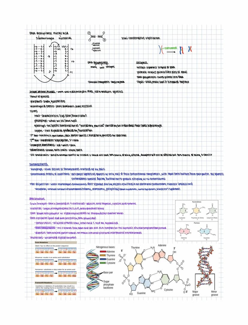 
<h2 id="termsanddefinitions">Terms and Definitions</h2>
<p>Genetics is the study of genes, heredity, and genetic variation in living organi