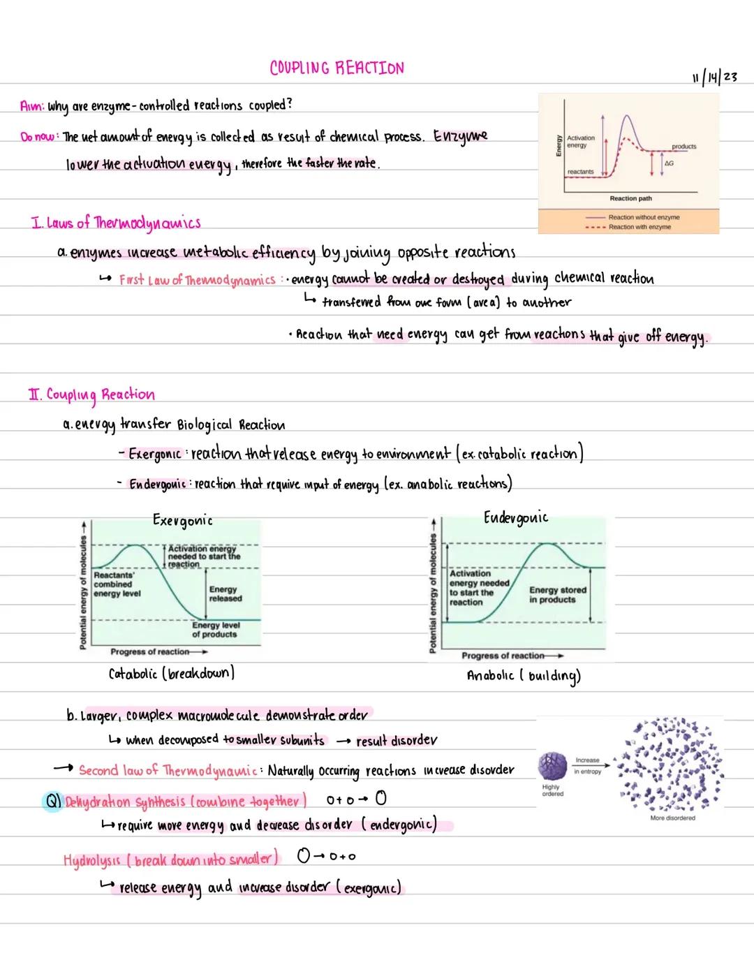 Coupling Reaction 