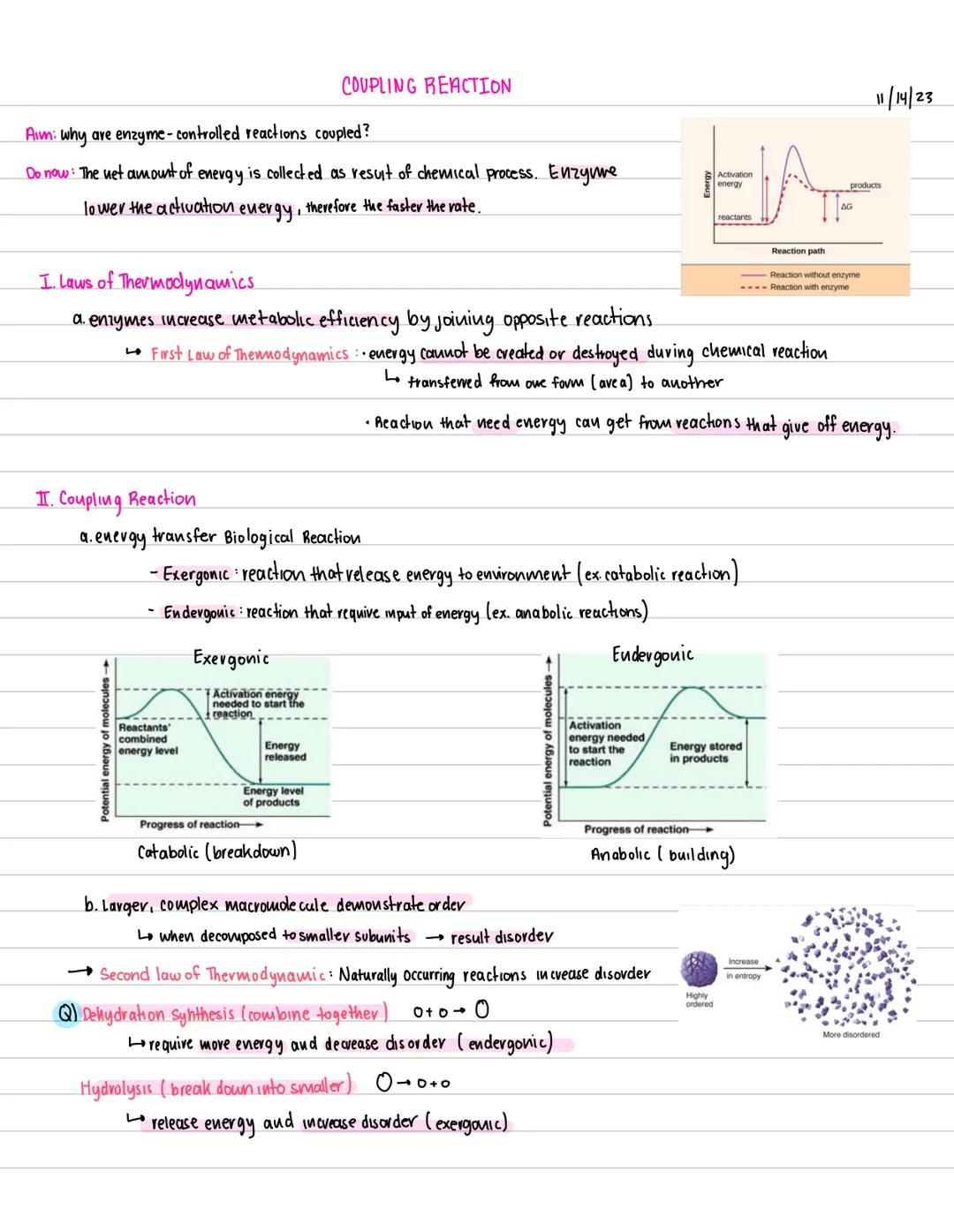 Aim: why are enzyme-controlled reactions coupled?
Do now: The net amount of energy is collected as result of chemical process. Enzyme
lower 