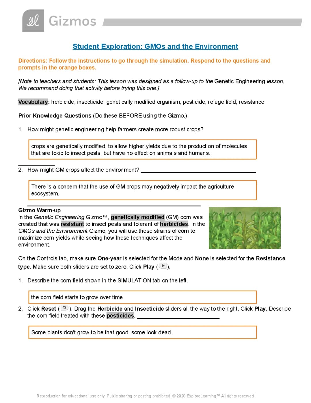 Student Exploration: GMOs and the Environment  Answer Key.pdf