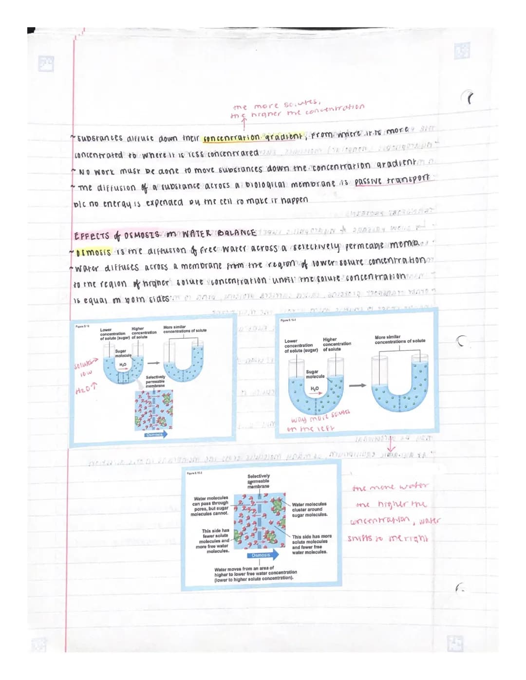 UNIT 5 : MEMBRANE TRANSPORT & CELL SIGALING
OVERVIEW: LIFE at me EDGE
~ plasma membrane separates the living cell from its surroundings
The 