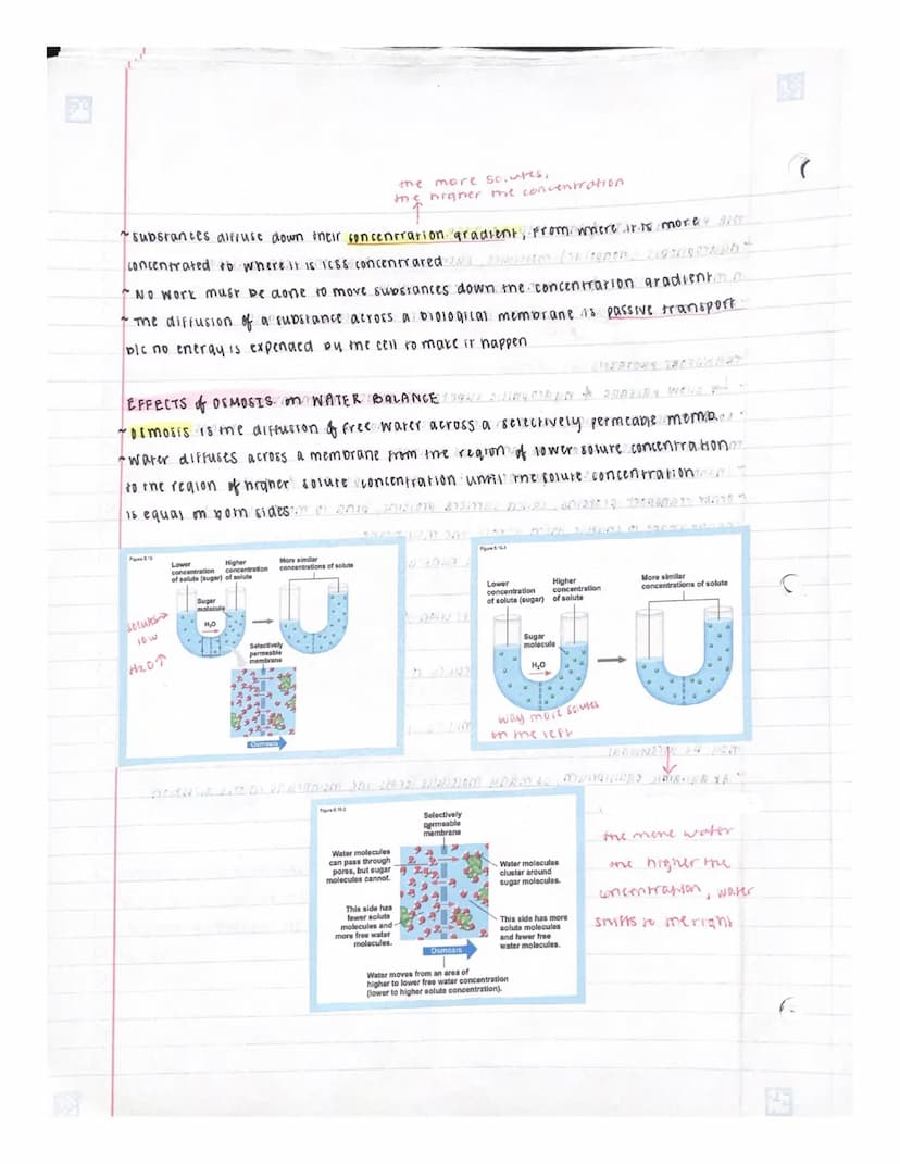 UNIT 5 : MEMBRANE TRANSPORT & CELL SIGALING
OVERVIEW: LIFE at me EDGE
~ plasma membrane separates the living cell from its surroundings
The 