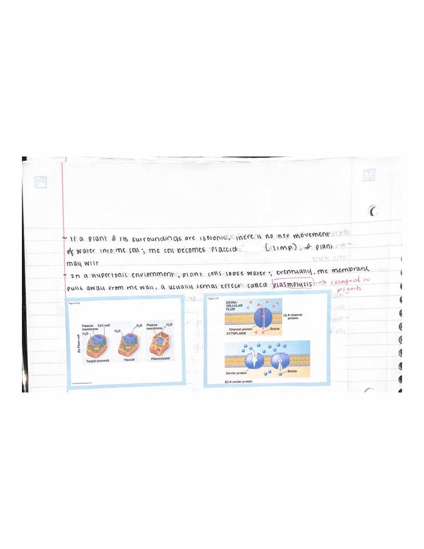 UNIT 5 : MEMBRANE TRANSPORT & CELL SIGALING
OVERVIEW: LIFE at me EDGE
~ plasma membrane separates the living cell from its surroundings
The 