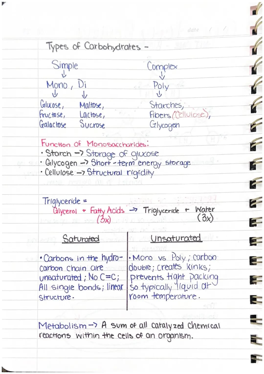 Quarterly Review
UNIT ONE-BIOMOLECULES
S.
S+CH
H
The
H
S+
oldilock's
Zone
H
St
H
WATER ON EARTH
• Bonding of H₂O → A single water molecule i