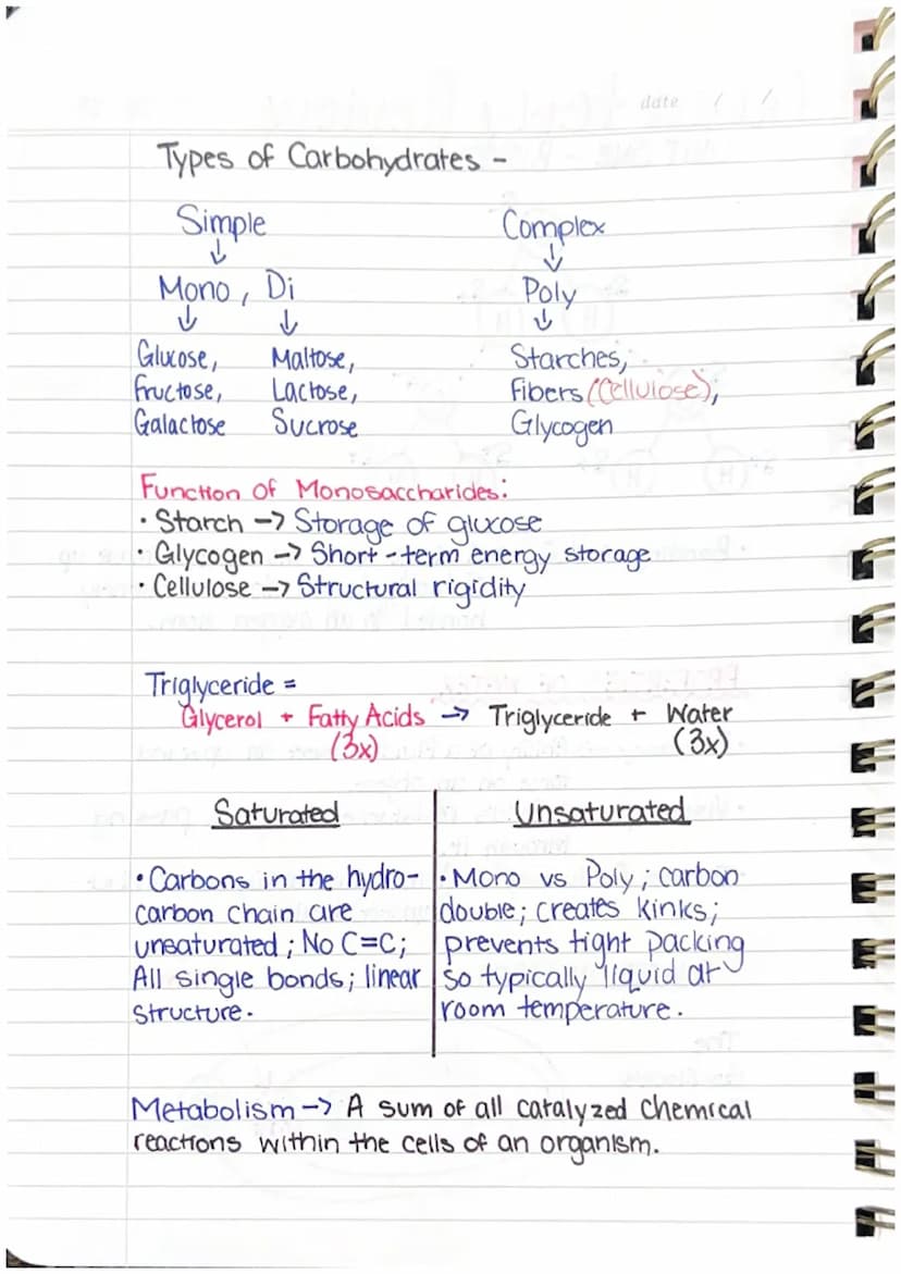 Quarterly Review
UNIT ONE-BIOMOLECULES
S.
S+CH
H
The
H
S+
oldilock's
Zone
H
St
H
WATER ON EARTH
• Bonding of H₂O → A single water molecule i