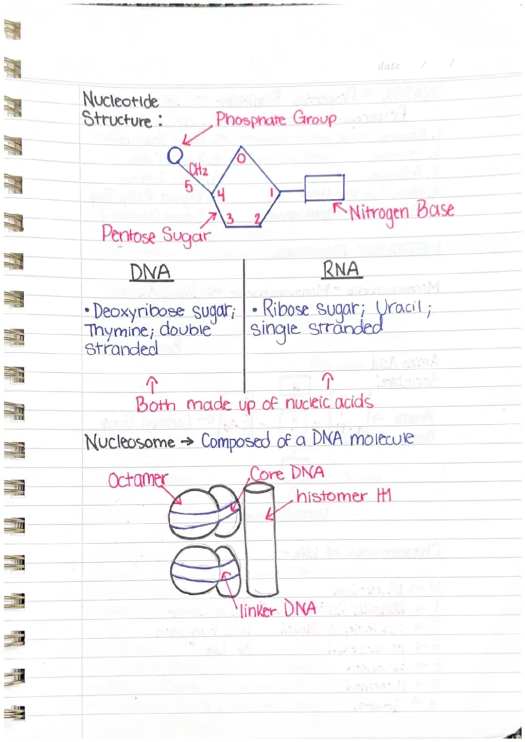 Quarterly Review
UNIT ONE-BIOMOLECULES
S.
S+CH
H
The
H
S+
oldilock's
Zone
H
St
H
WATER ON EARTH
• Bonding of H₂O → A single water molecule i