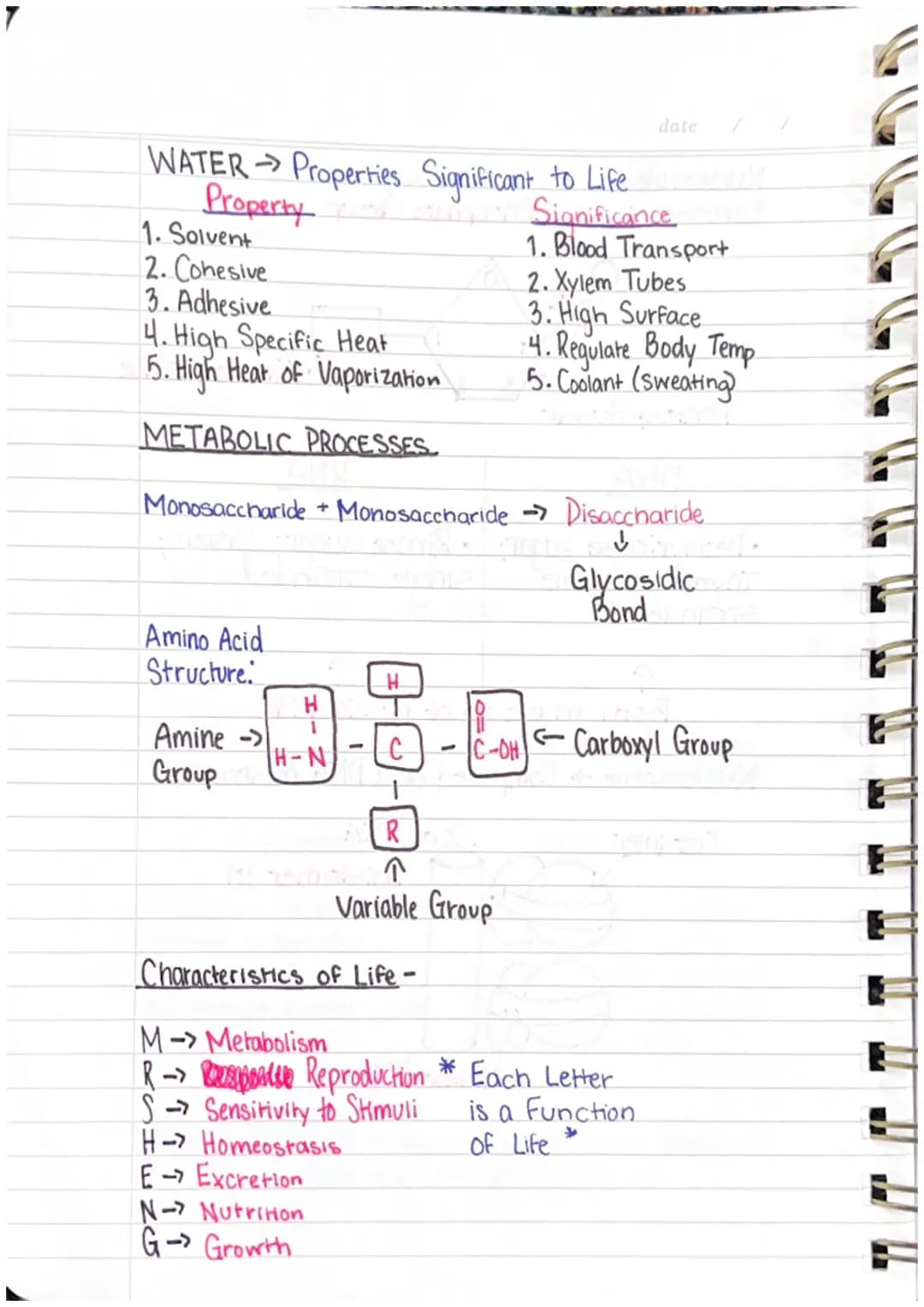 Quarterly Review
UNIT ONE-BIOMOLECULES
S.
S+CH
H
The
H
S+
oldilock's
Zone
H
St
H
WATER ON EARTH
• Bonding of H₂O → A single water molecule i