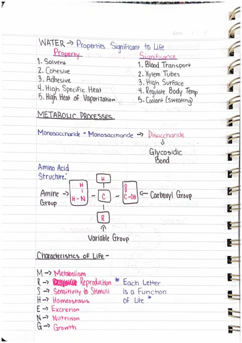 Quarterly Review
UNIT ONE-BIOMOLECULES
S.
S+CH
H
The
H
S+
oldilock's
Zone
H
St
H
WATER ON EARTH
• Bonding of H₂O → A single water molecule i