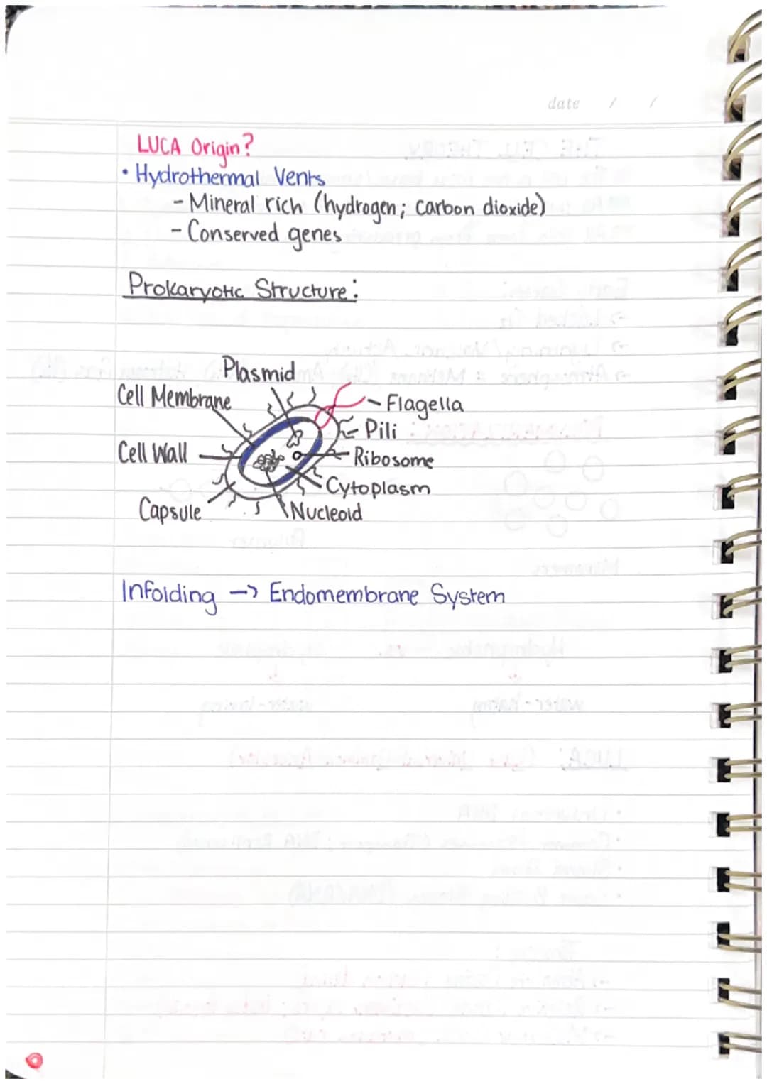 Quarterly Review
UNIT ONE-BIOMOLECULES
S.
S+CH
H
The
H
S+
oldilock's
Zone
H
St
H
WATER ON EARTH
• Bonding of H₂O → A single water molecule i