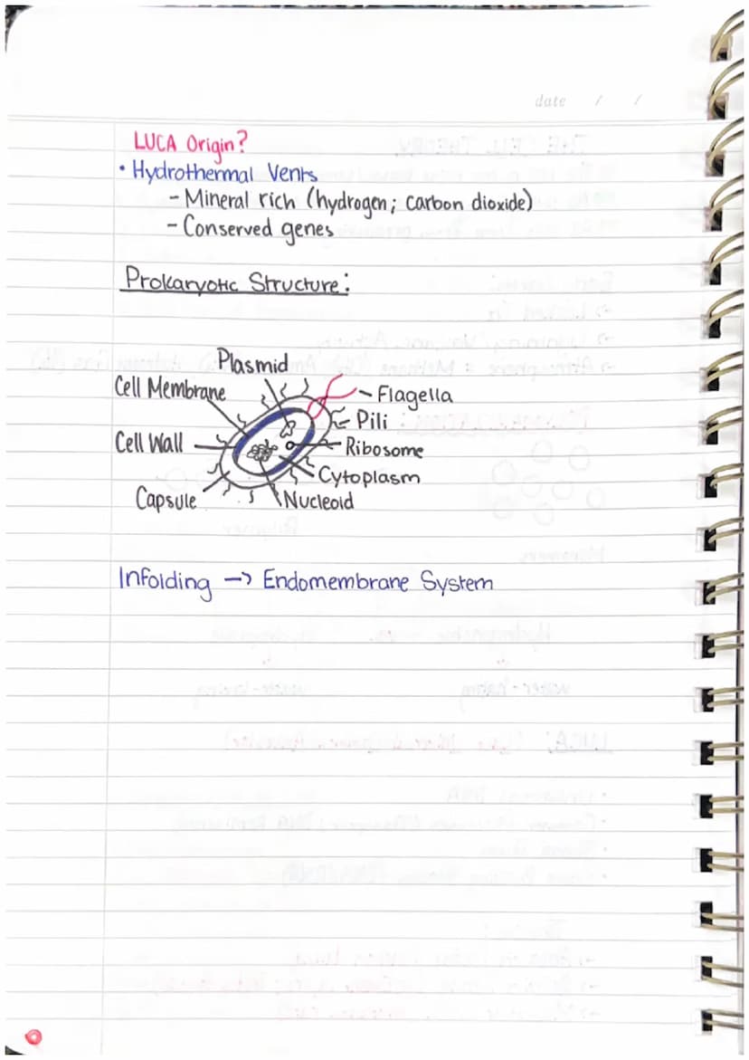 Quarterly Review
UNIT ONE-BIOMOLECULES
S.
S+CH
H
The
H
S+
oldilock's
Zone
H
St
H
WATER ON EARTH
• Bonding of H₂O → A single water molecule i