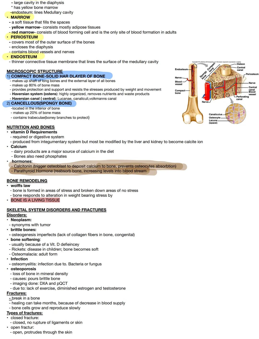 Test on :
Components:
• bones
• Joints & associated cartilages
Medical terms:
osteo
Skeletal:
• derived from Greek word meaning "dried"
• Co
