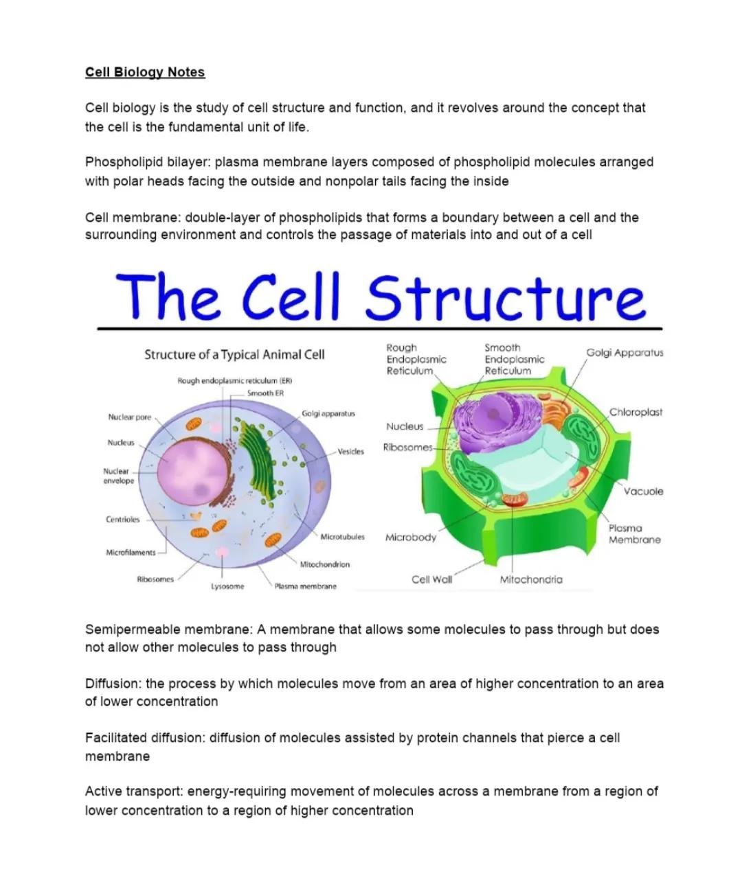 The cell structure 