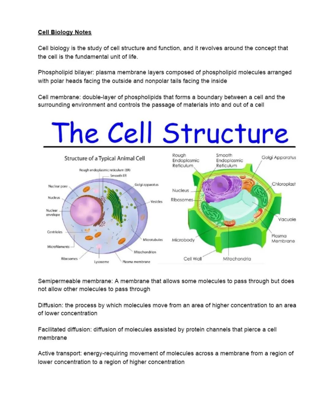 Cell Biology Notes
Cell biology is the study of cell structure and function, and it revolves around the concept that
the cell is the fundame