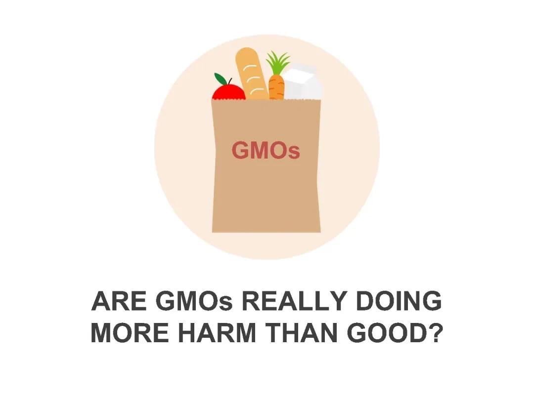 GMO Intro Notes 2023 PDF