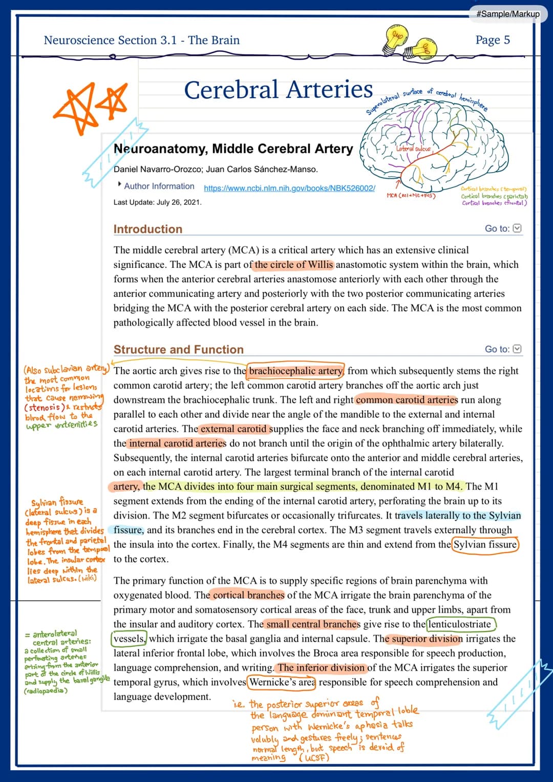 
<h2 id="frontallobe">Frontal Lobe</h2>
<p>The frontal lobe is responsible for personality, behavior, emotions, judgement, planning, problem