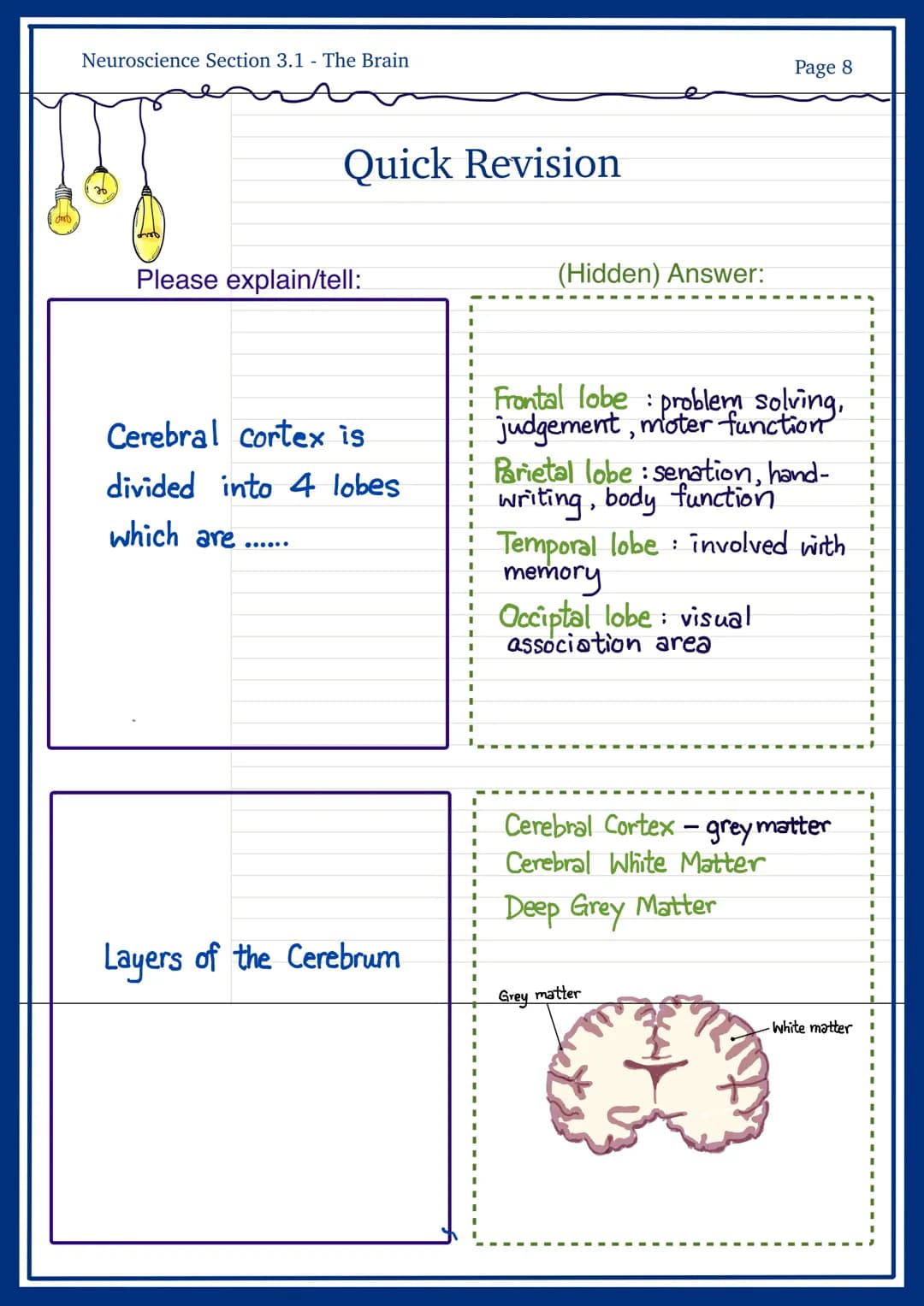 
<h2 id="frontallobe">Frontal Lobe</h2>
<p>The frontal lobe is responsible for personality, behavior, emotions, judgement, planning, problem