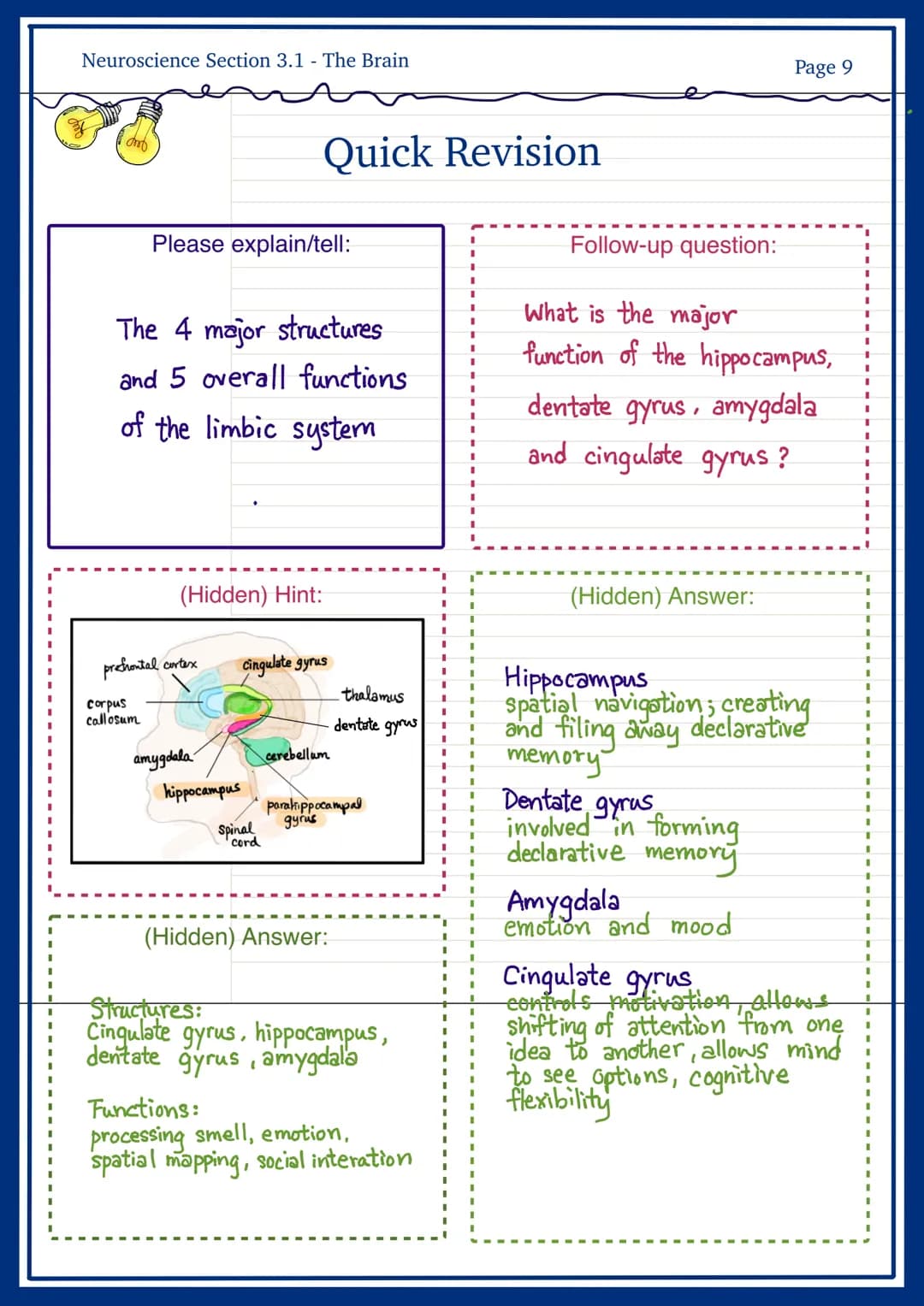 
<h2 id="frontallobe">Frontal Lobe</h2>
<p>The frontal lobe is responsible for personality, behavior, emotions, judgement, planning, problem