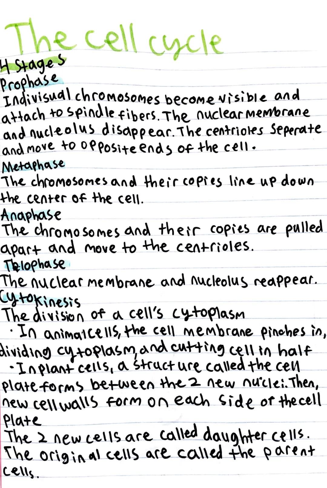The cell cycle
The cell cycle
The cell cycle is the normal sequence of events
a cell goes through as it grows and divides
There are two main
