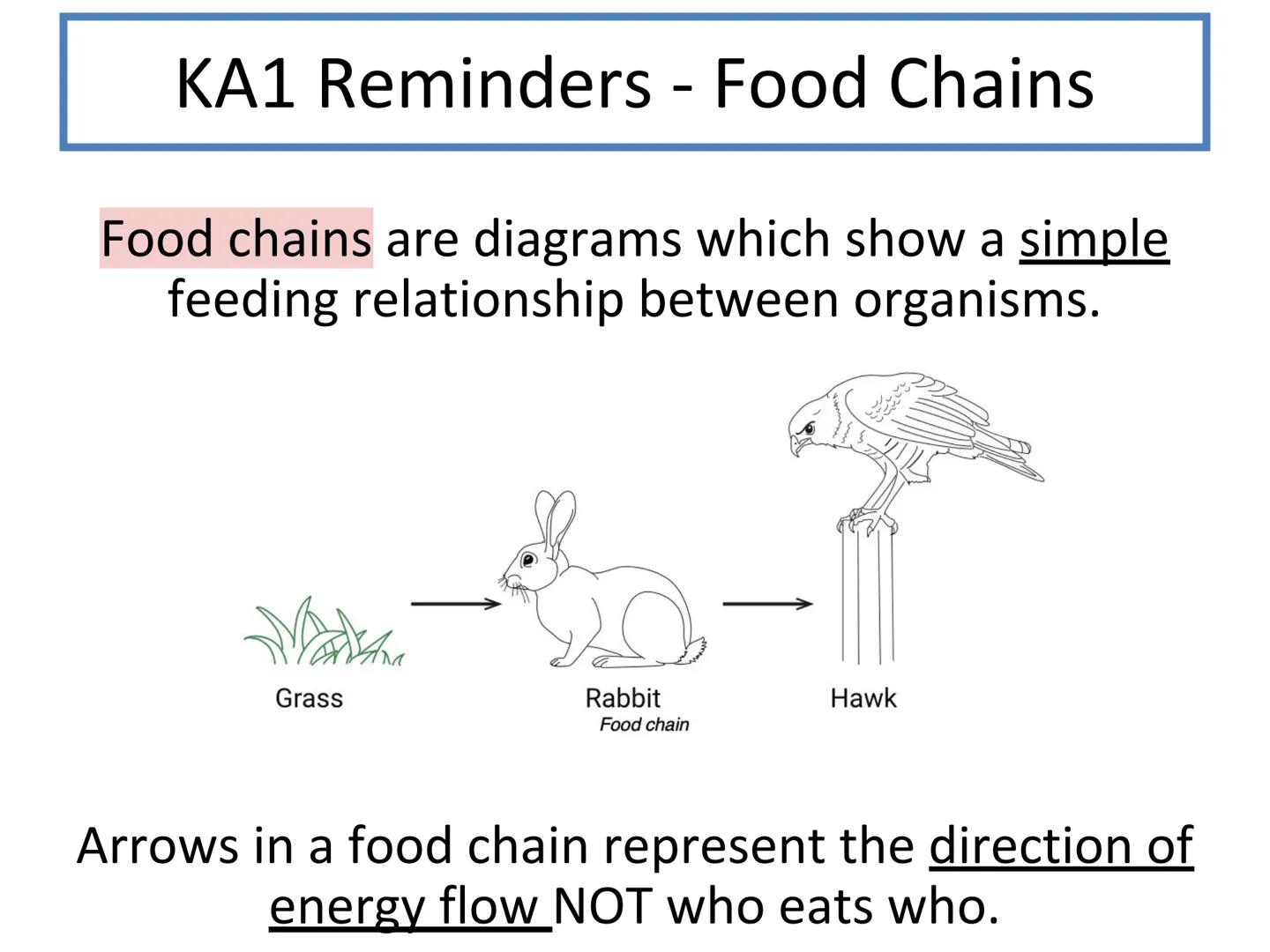 # N5 Unit 3 KA4
Energy in Ecosystems # N5 biology course

1. Cell Biology
2. Multicellular Organisms
3. Life on Earth Unit 3 - Life on Earth