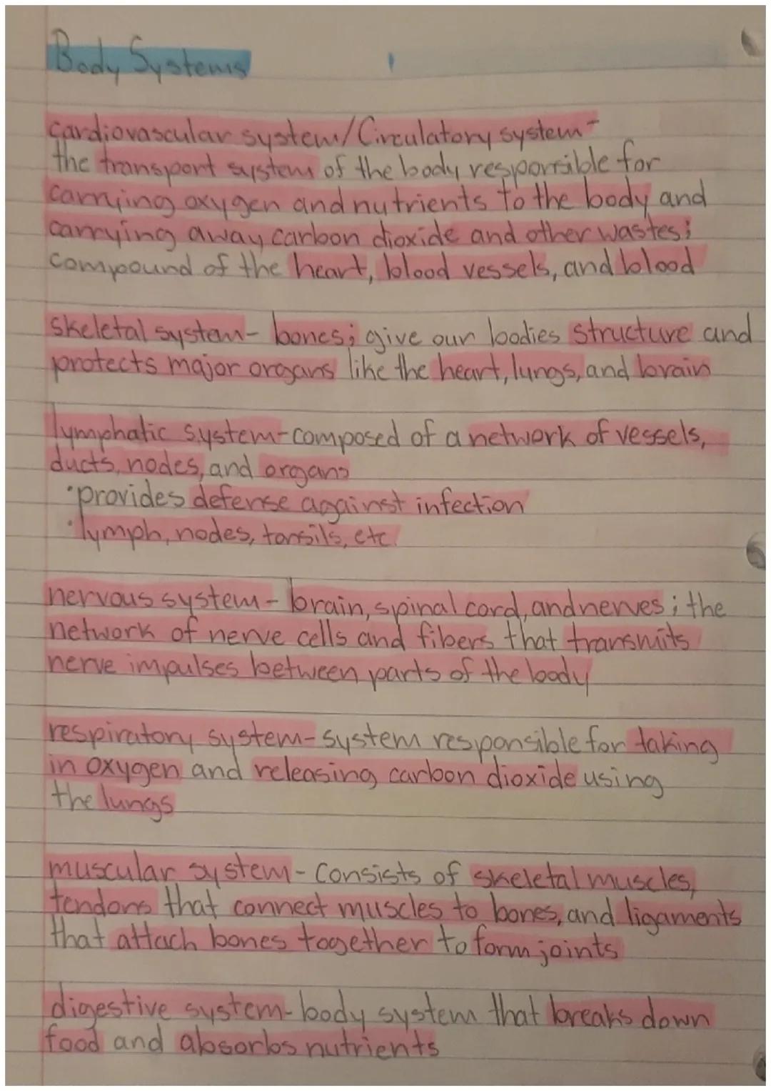 7th Grade Body Systems Notes