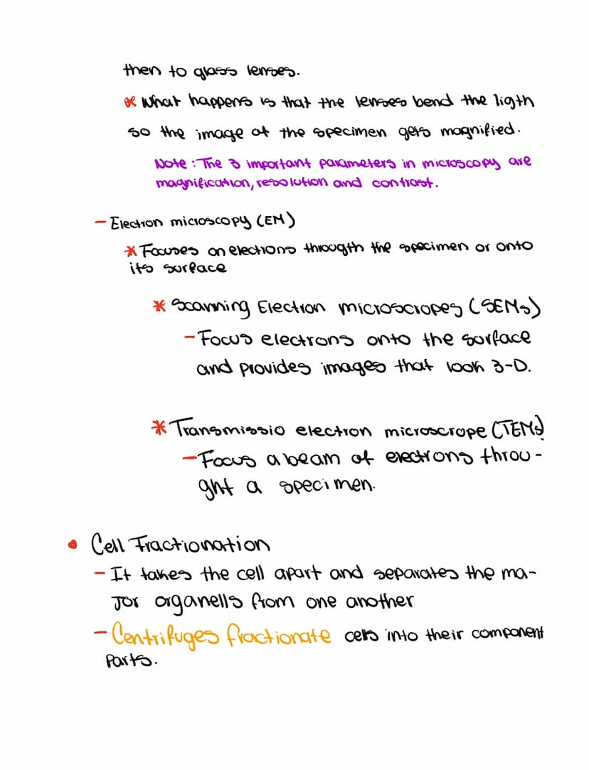 Ch 6
• Cell Theory
- All organism are made out of cells
- Simplest collection of matter that
10 m
1 m
0.1
m
1
mm
100 m
1 m
100
nm
10 nm
10 m