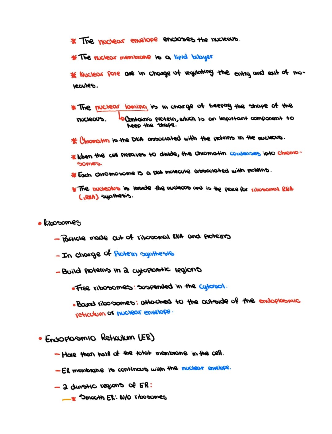 Ch 6
• Cell Theory
- All organism are made out of cells
- Simplest collection of matter that
10 m
1 m
0.1
m
1
mm
100 m
1 m
100
nm
10 nm
10 m