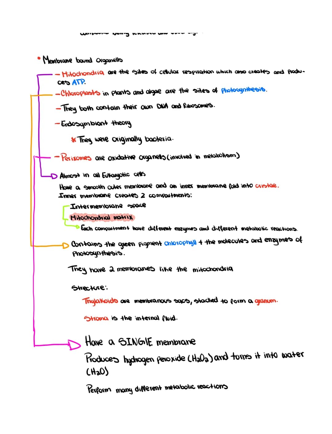 Ch 6
• Cell Theory
- All organism are made out of cells
- Simplest collection of matter that
10 m
1 m
0.1
m
1
mm
100 m
1 m
100
nm
10 nm
10 m