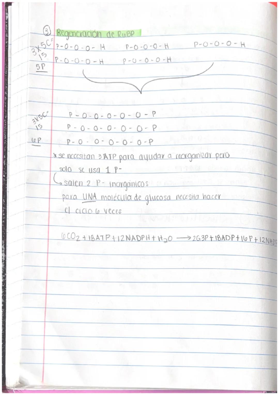 # Folosintesis

✓. urganismos que usan fotosintesis:

- planias

  - bactlengs
    (algunas)

* dinoflagelado crea bioluminiscencia *

  ↓

