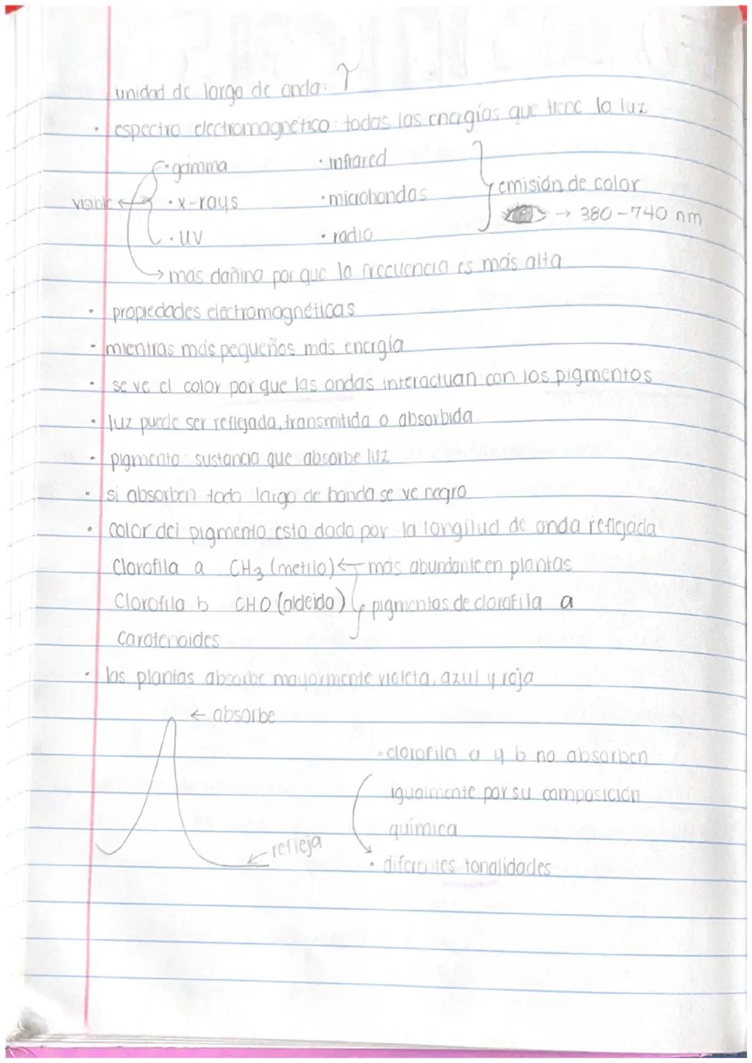 # Folosintesis

✓. urganismos que usan fotosintesis:

- planias

  - bactlengs
    (algunas)

* dinoflagelado crea bioluminiscencia *

  ↓


