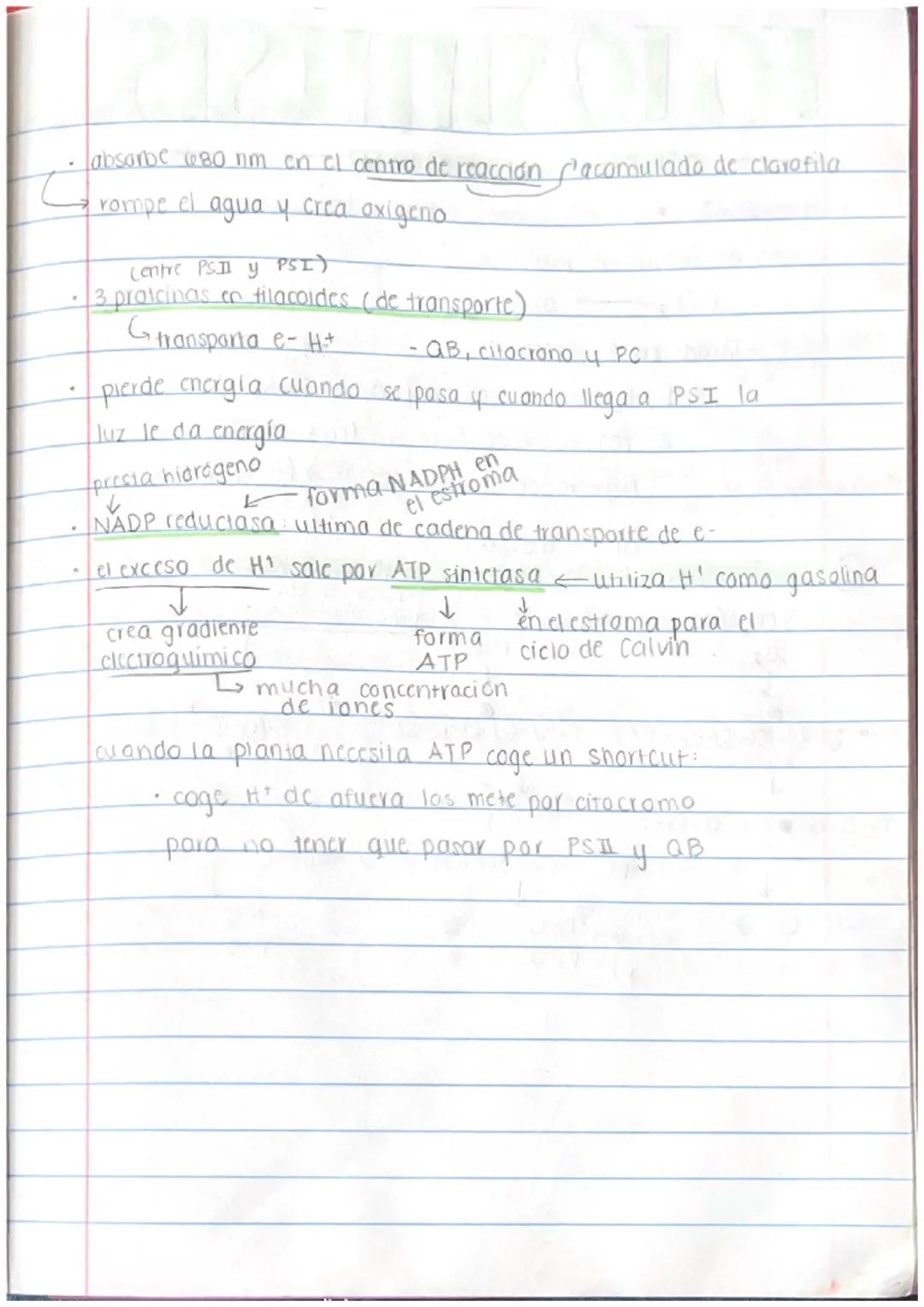 # Folosintesis

✓. urganismos que usan fotosintesis:

- planias

  - bactlengs
    (algunas)

* dinoflagelado crea bioluminiscencia *

  ↓

