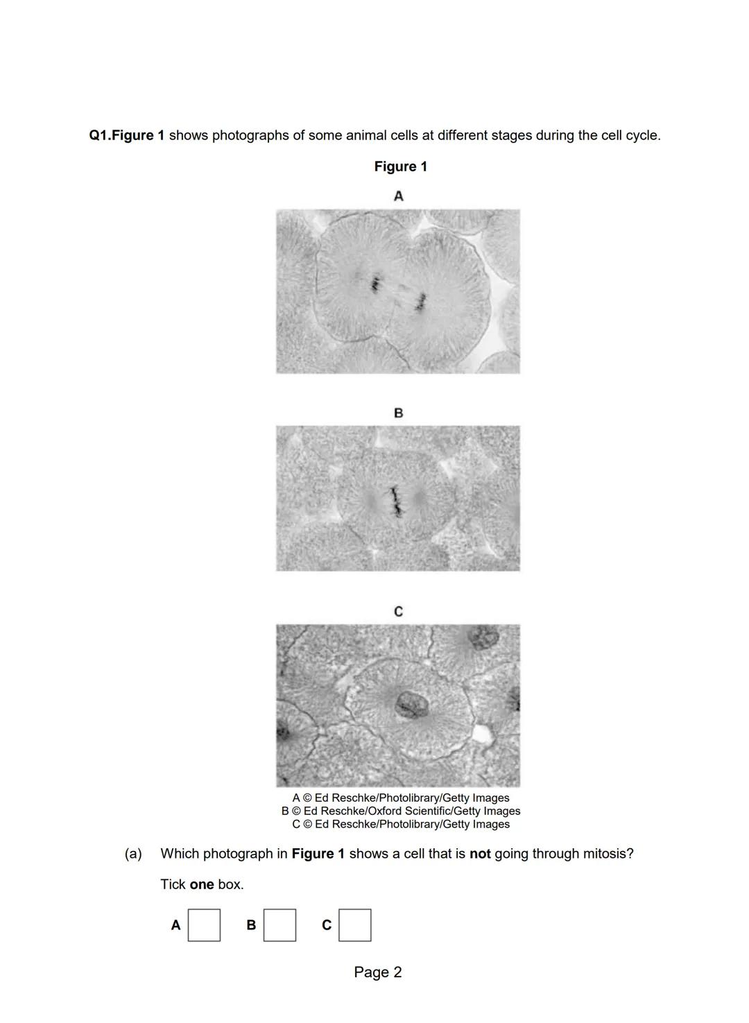 Understanding Cell Structure: Key Study Points