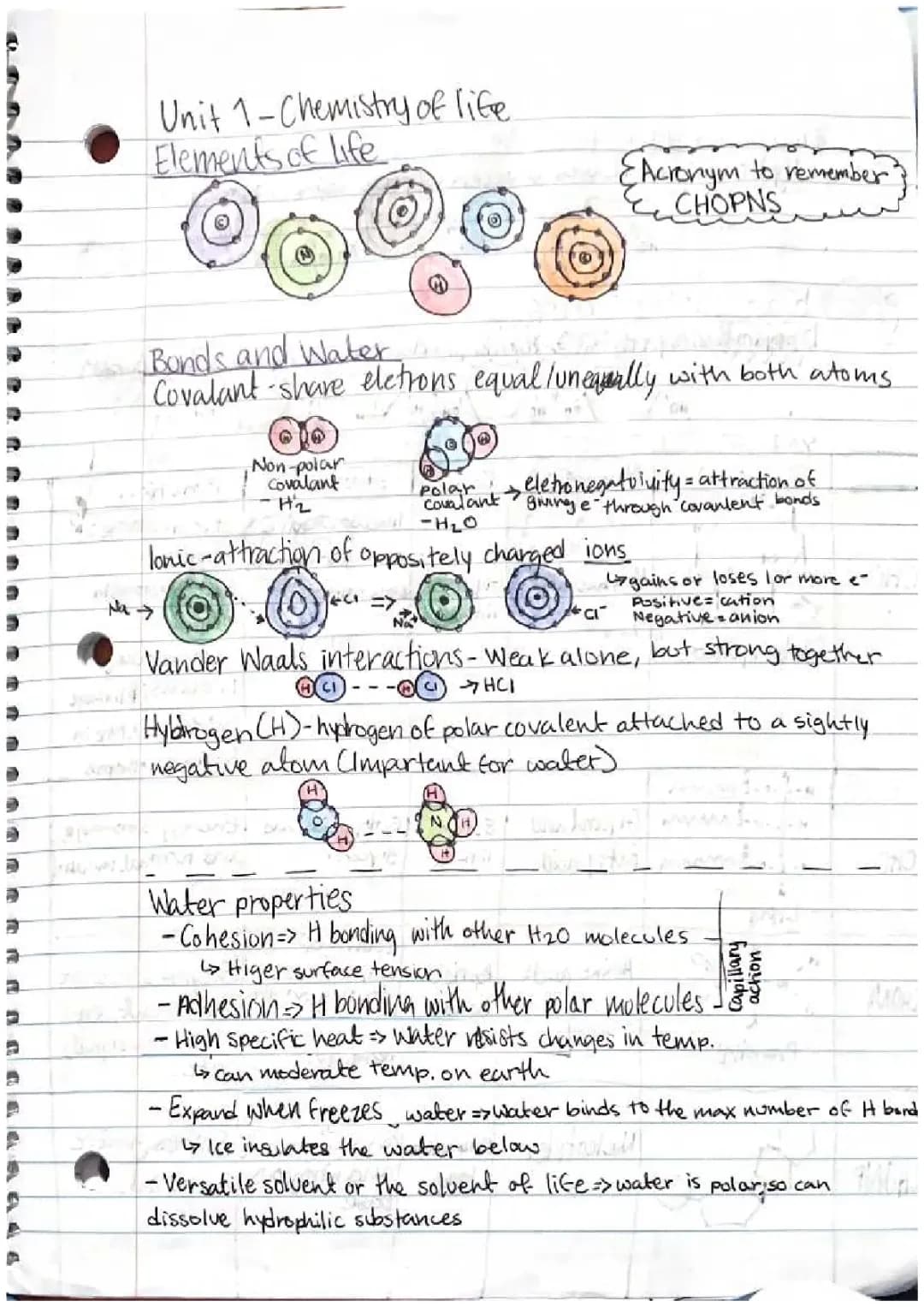 The Fun Chemistry of Life: Explore Elements, Bonds, and Water!