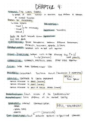 Know Anatomy and physiology Tissues  thumbnail