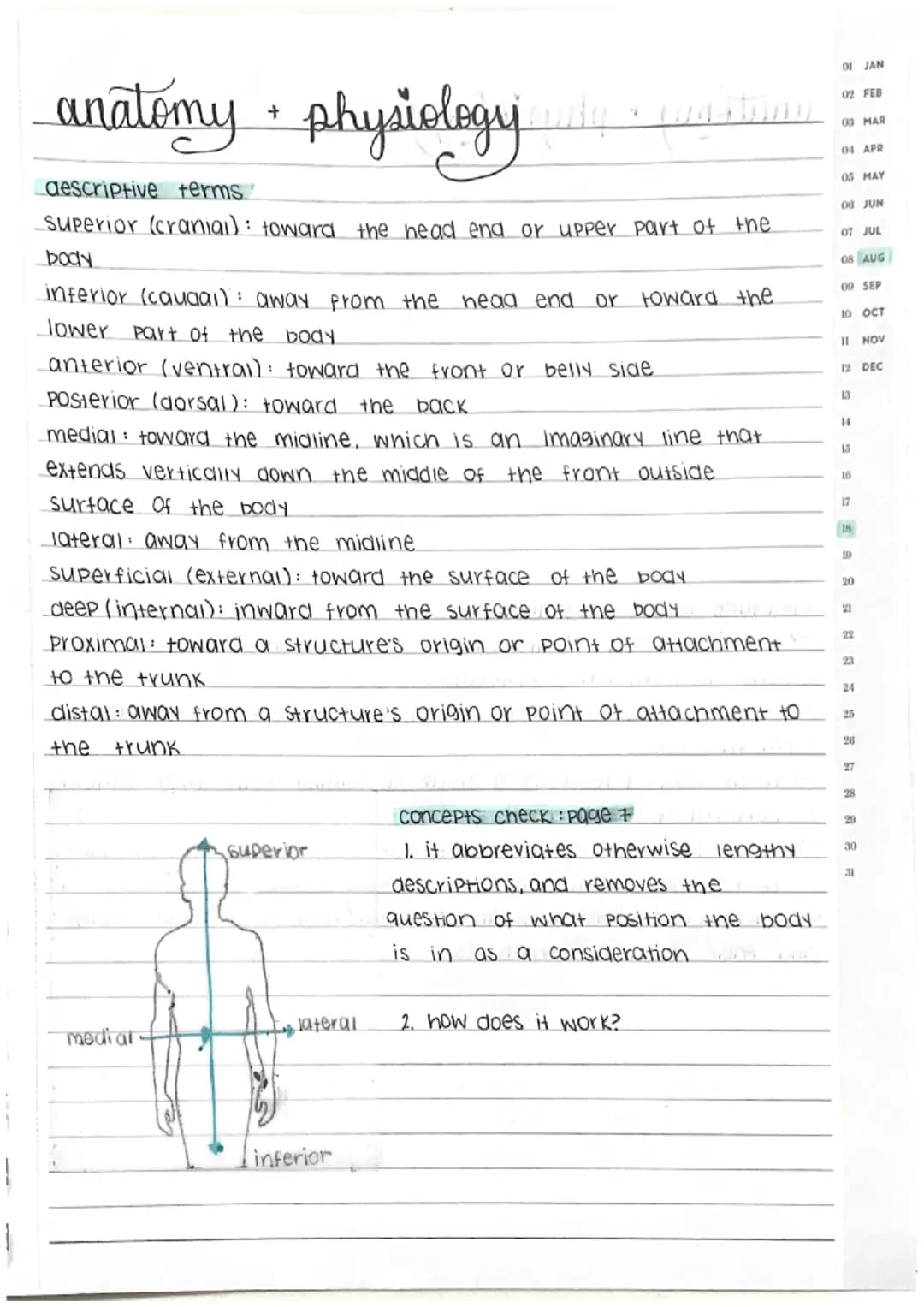<h2 id="anatomyandphysiologytermsanddefinitions">Anatomy and Physiology Terms and Definitions</h2>
<p>In anatomy and physiology, it's import