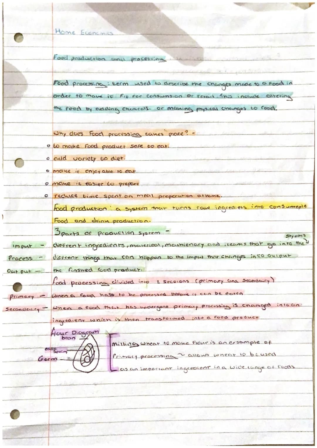 imput
Process -
Out put -
Primary -
Seconciary
Home Econeimniss
Food production sonel pros
Food processing : term used to describe the
chang