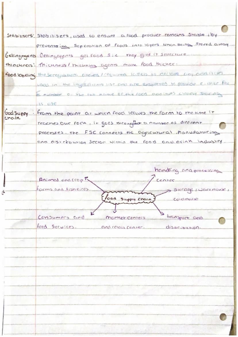 imput
Process -
Out put -
Primary -
Seconciary
Home Econeimniss
Food production sonel pros
Food processing : term used to describe the
chang