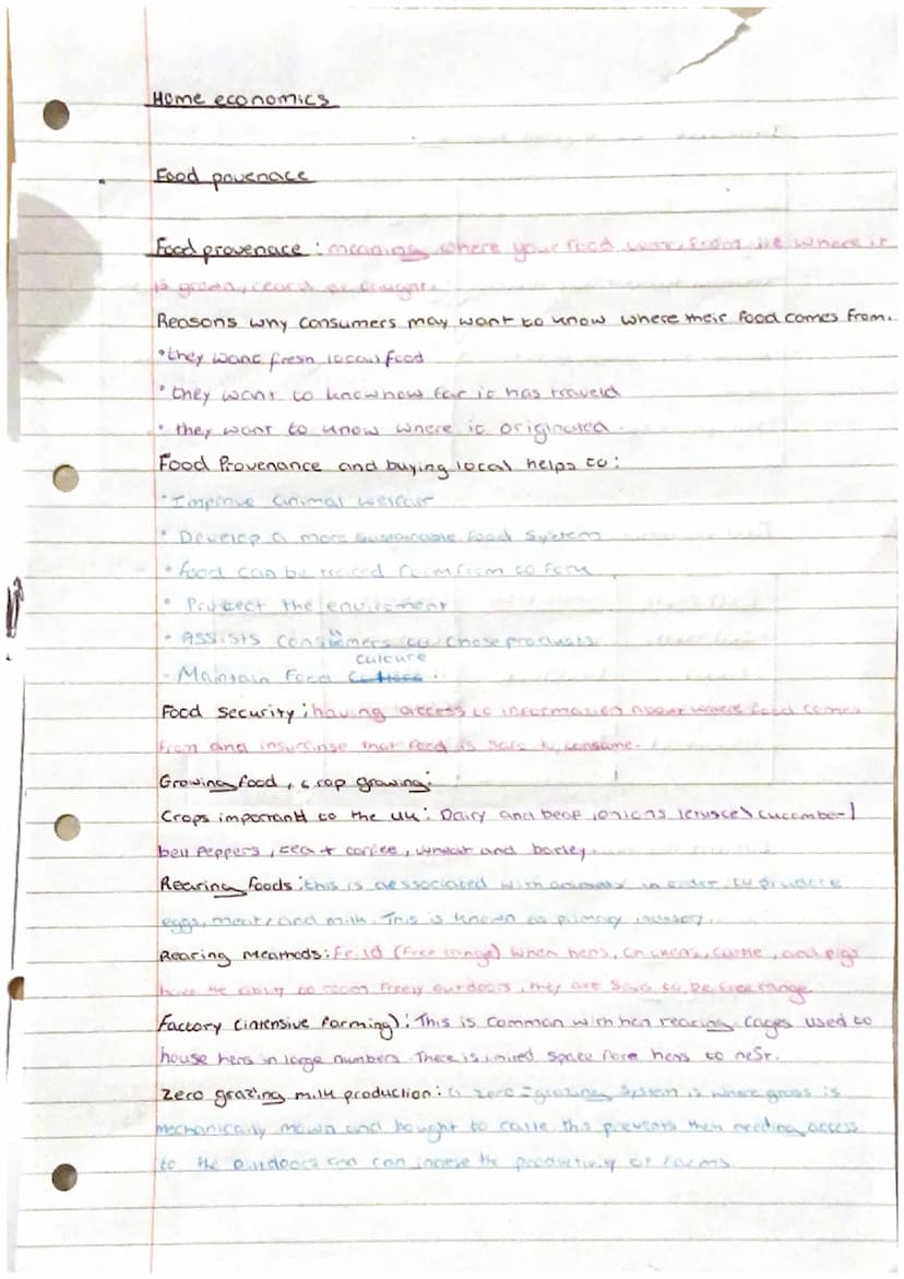 imput
Process -
Out put -
Primary -
Seconciary
Home Econeimniss
Food production sonel pros
Food processing : term used to describe the
chang