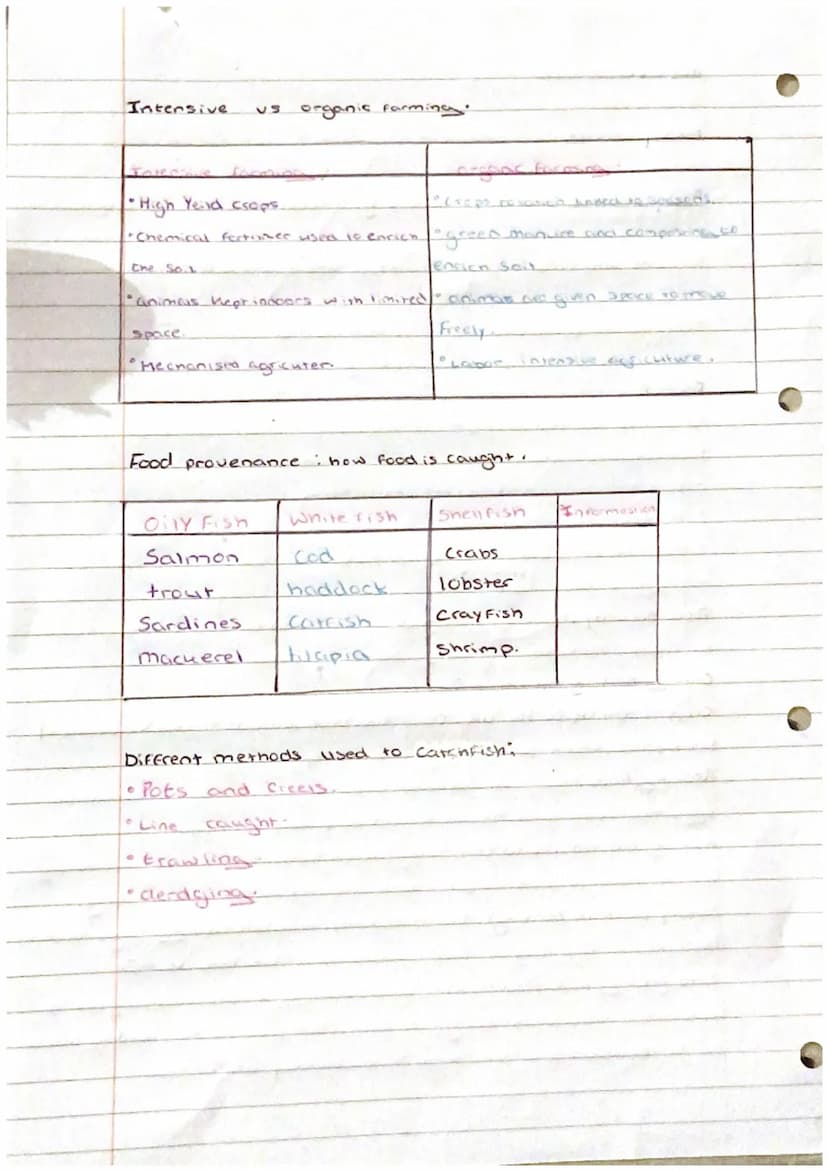 imput
Process -
Out put -
Primary -
Seconciary
Home Econeimniss
Food production sonel pros
Food processing : term used to describe the
chang