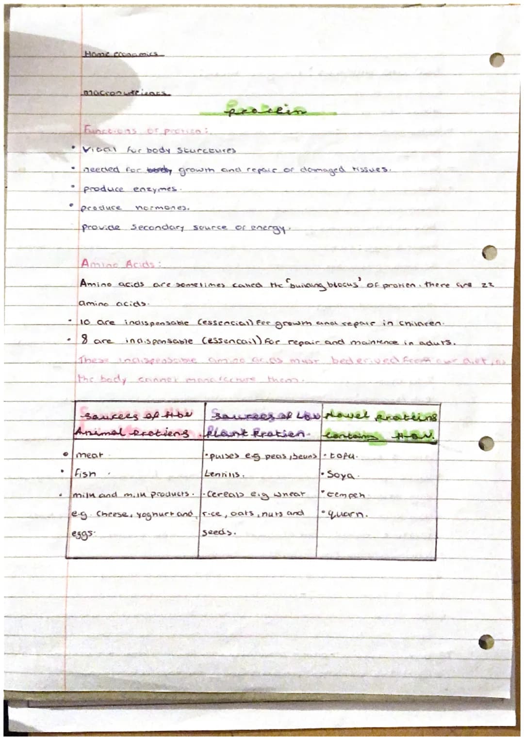 imput
Process -
Out put -
Primary -
Seconciary
Home Econeimniss
Food production sonel pros
Food processing : term used to describe the
chang