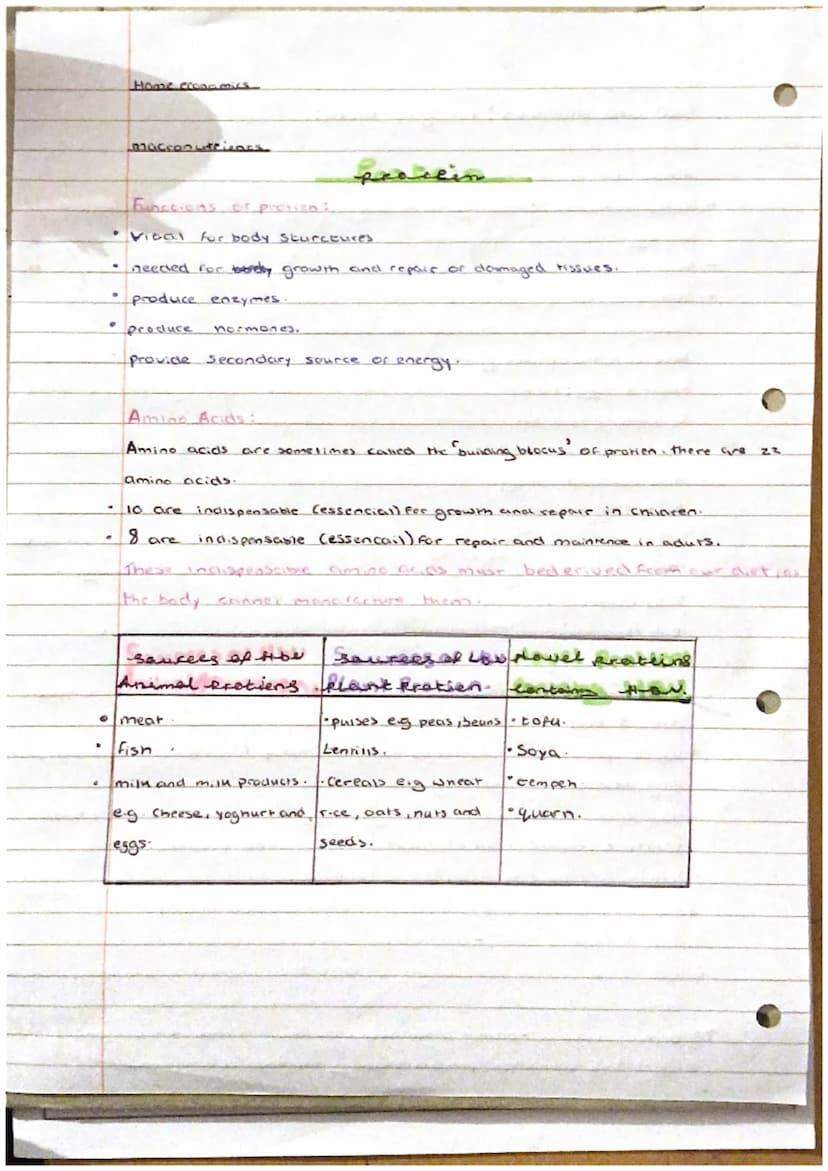 imput
Process -
Out put -
Primary -
Seconciary
Home Econeimniss
Food production sonel pros
Food processing : term used to describe the
chang