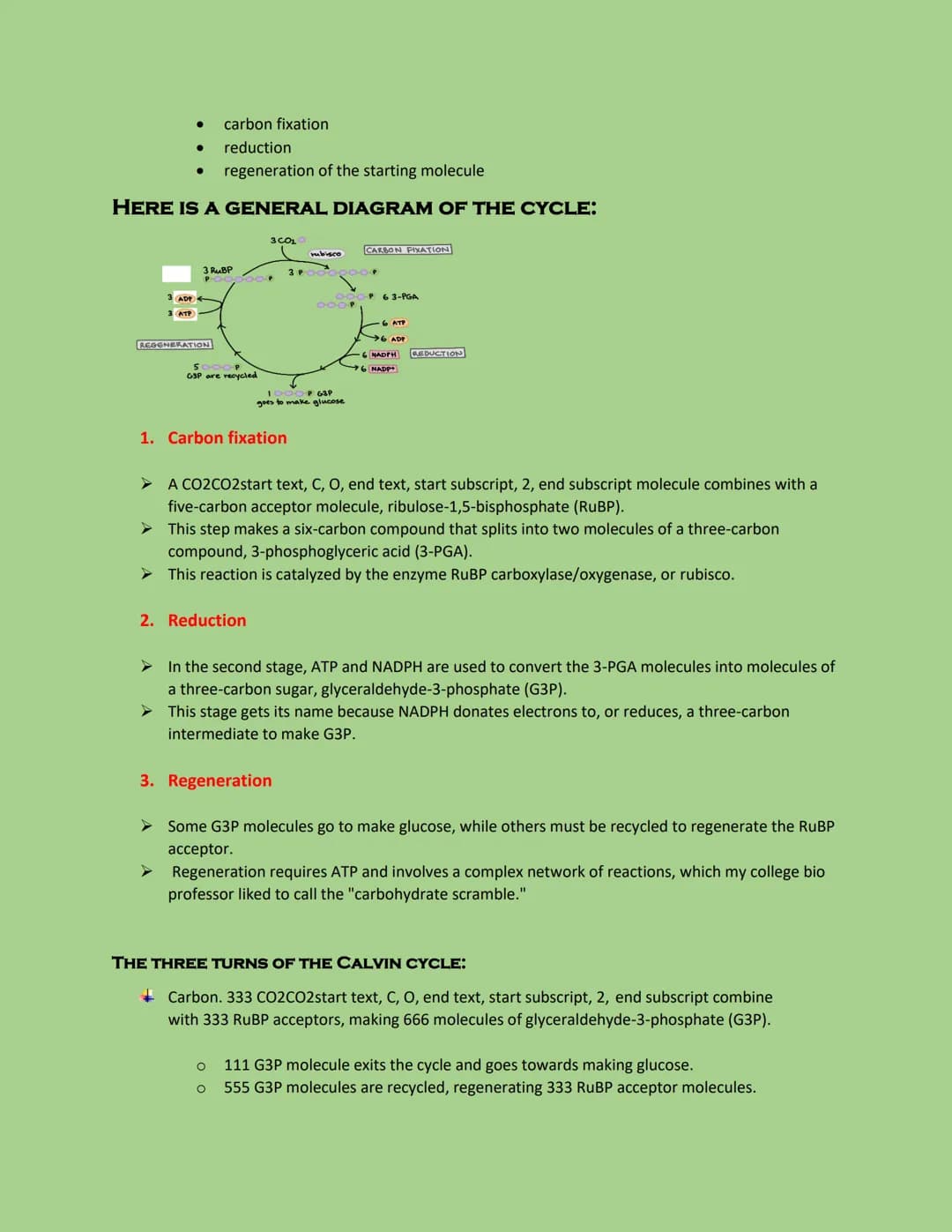 THE CALVIN CYCLE
➤ also called the light-independent reactions, takes place in the stroma and does not directly
require light. Instead, the 