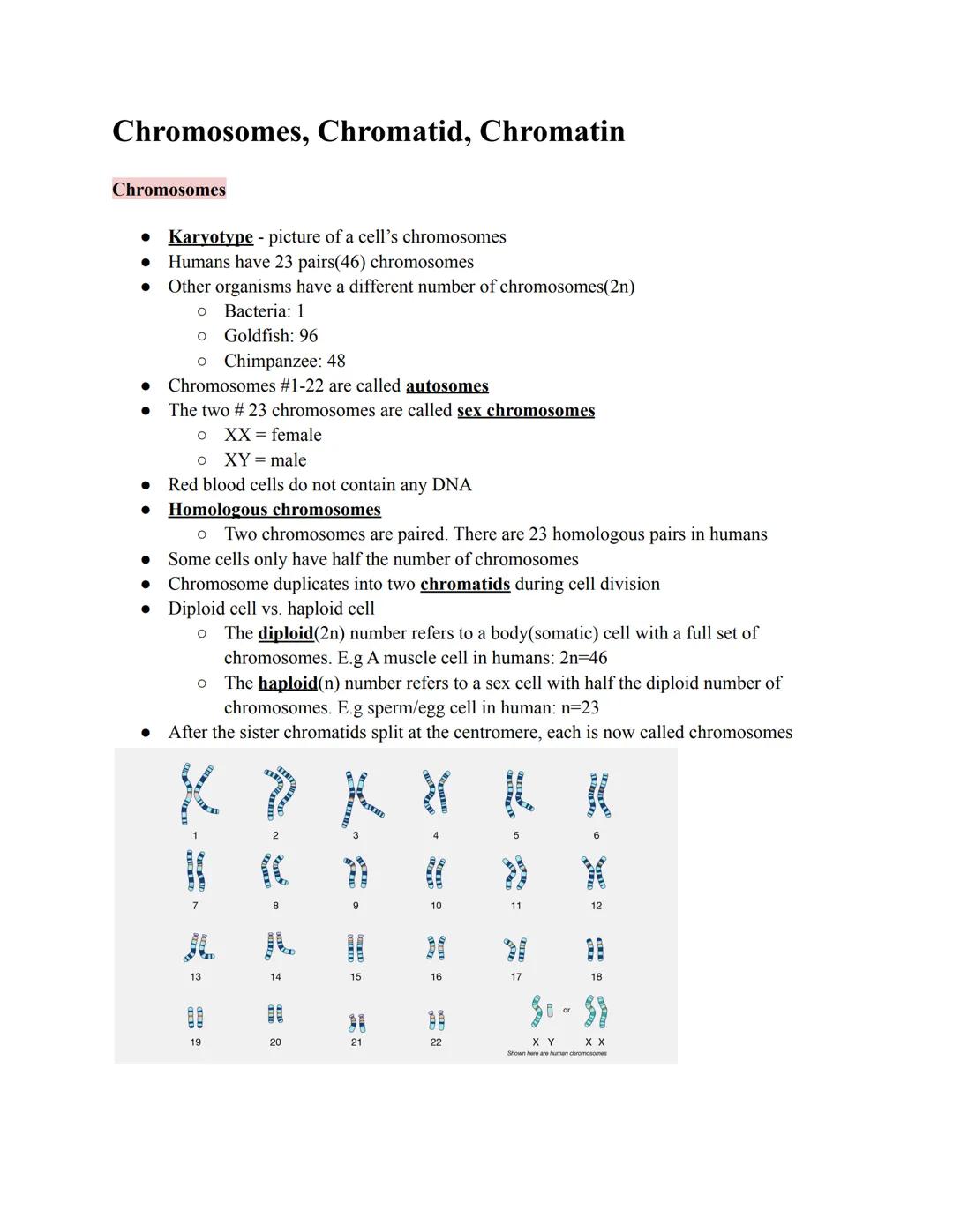 # Chromosomes, Chromatid, Chromatin

Chromosomes

*   Karyotype - picture of a cell's chromosomes
*   Humans have 23 pairs(46) chromosomes
*