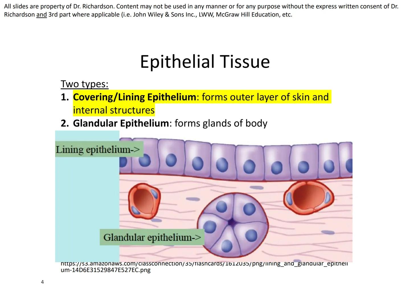 All slides are property of Dr. Richardson. Content may not be used in any manner or for any purpose without the express written consent of D