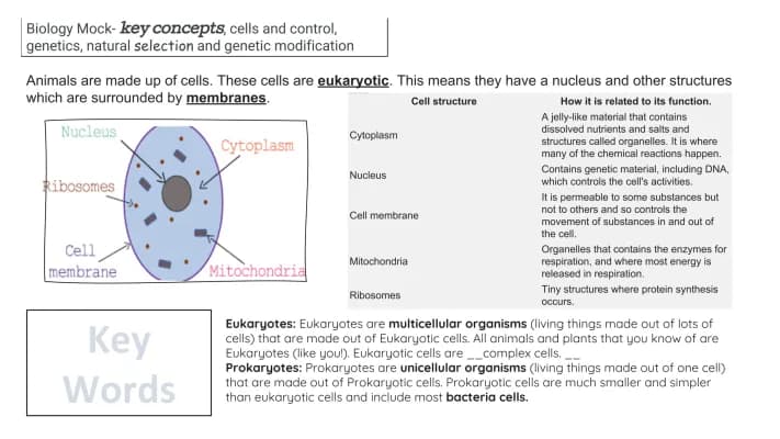 Know Biology Plant & Animal Cells  thumbnail